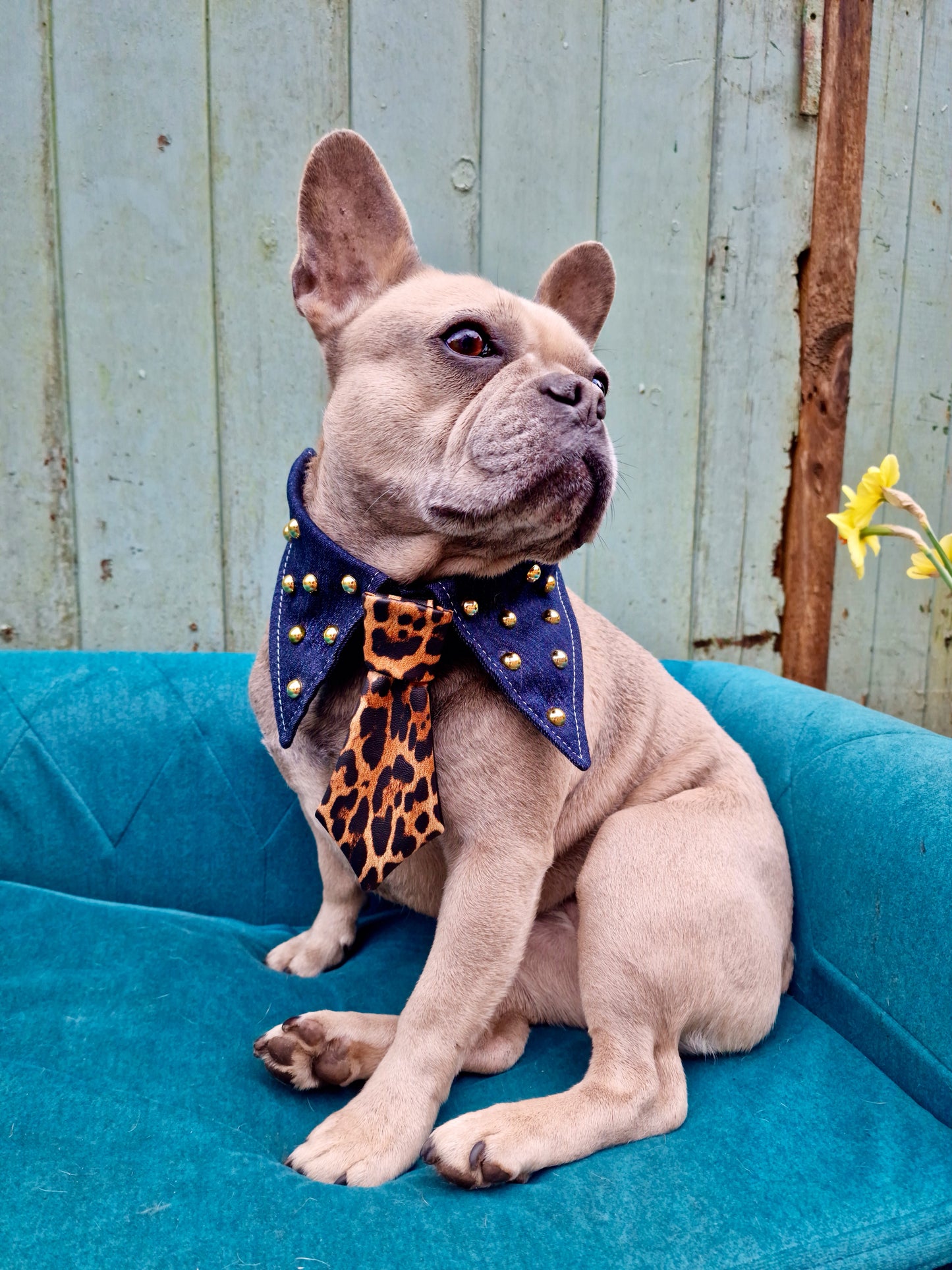 The denim collar and bolo tie - pieces sold separetly