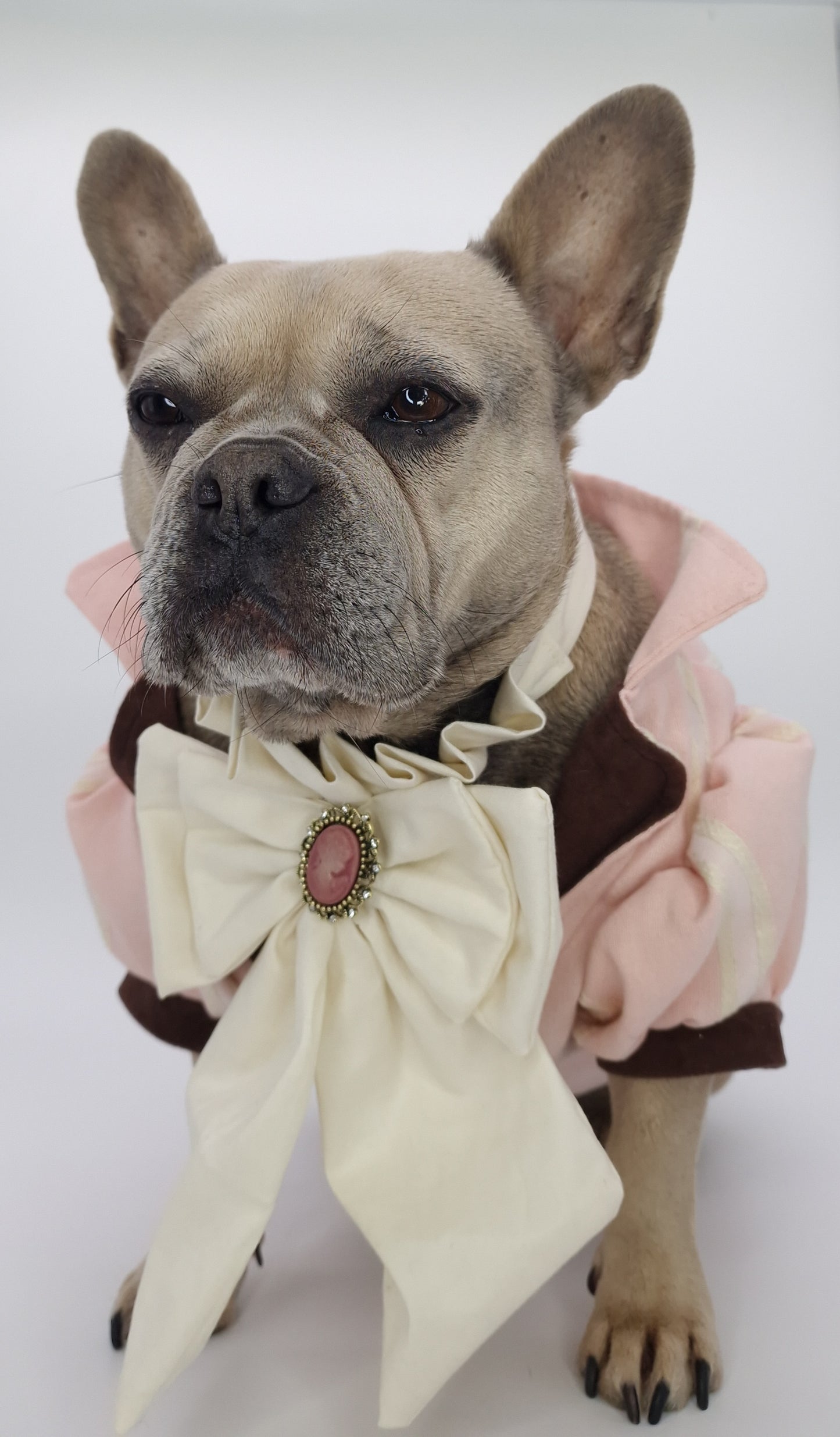 Steampunk cravat