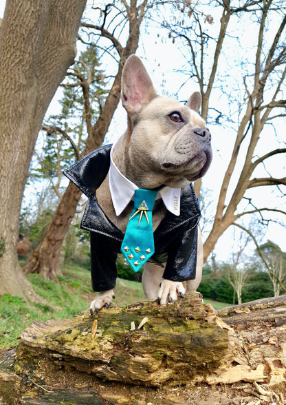 The Stan collar and tie - Limited Edition