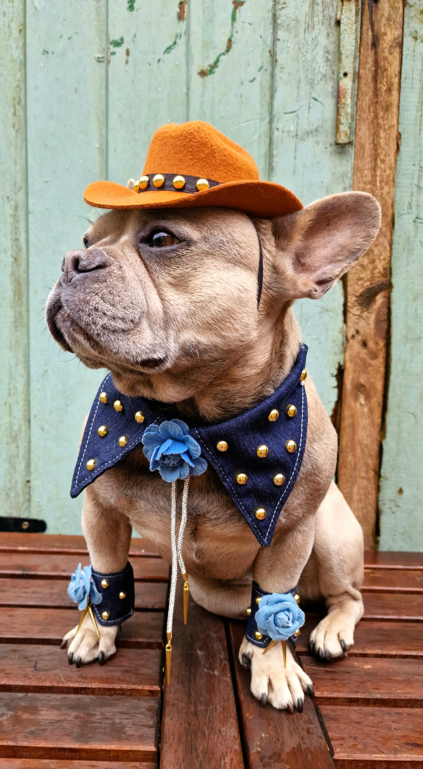 The denim collar and bolo tie - pieces sold separetly