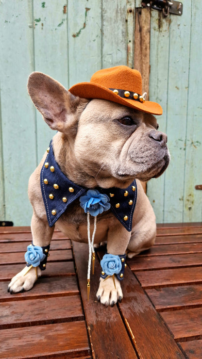 The denim collar and bolo tie - pieces sold separetly