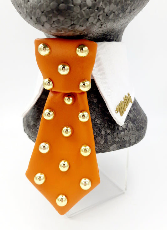 Extra Spice collar and tie set - The interchangeable tie system