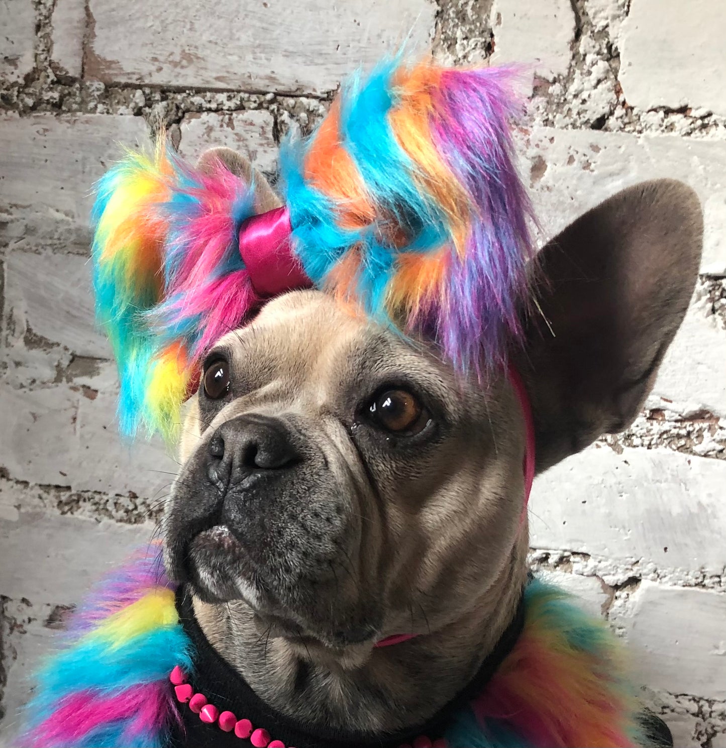 Multi coloured fur bow