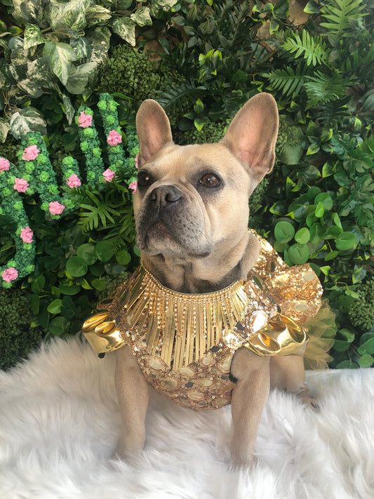 Gold fringe choker